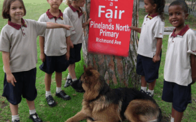 Community theatre in Pinelands